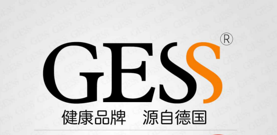 GESS